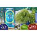 fu.... налог бакалейные продукты водоросли Okinawa префектура восток . восток .. приятный комплект море виноград комплект ( стебель нет )200g& Orion sa The n Star 350ml×24шт.@ море виноград море виноград .. виноград pa...