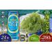 fu.... налог бакалейные продукты водоросли Okinawa префектура восток . восток .. приятный комплект море виноград комплект ( стебель нет )200g& Orion sa The n Star 500ml×24шт.@ море виноград море виноград .. виноград pa...