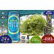 fu.... налог бакалейные продукты водоросли Okinawa префектура восток . восток .. приятный комплект море виноград комплект ( стебель есть )400g& Orion sa The n Star 500ml×24шт.@ море виноград море виноград .. виноград pa...