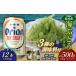 fu.... налог бакалейные продукты водоросли Okinawa префектура восток . восток .. приятный комплект море виноград комплект ( стебель нет )500g& приправа 3 вид & The *do черновой to350ml×1 2 шт море виноград море виноград .. виноград pa...