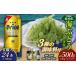 fu.... налог бакалейные продукты водоросли Okinawa префектура восток . восток .. приятный комплект море виноград комплект ( стебель нет )500g& приправа 3 вид & пшеница работник 500ml×24шт.@ море виноград море виноград .. виноград упаковка...