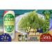 fu.... налог бакалейные продукты водоросли Okinawa префектура восток . восток .. приятный комплект море виноград комплект ( стебель нет )500g& приправа 3 вид & Zero жизнь 500ml×24шт.@ море виноград море виноград .. виноград pa...