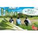 fu.... налог овощи вид лук порей Iwate префектура Morioka город Iwate префектура Morioka город производство длина лук-батун 1kg лук порей свежий овощи длина лук-батун белый лук-батун длина лук порей белый лук порей . местного производства .. прекрасный тест ...... кастрюля 