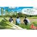 fu.... налог овощи вид лук порей Iwate префектура Morioka город Iwate префектура Morioka город производство длина лук-батун 4kg лук порей свежий овощи длина лук-батун белый лук-батун длина лук порей белый лук порей . местного производства .. прекрасный тест ...... кастрюля 