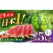 fu.... налог арбуз Kumamoto префектура гора олень город предшествующий предварительный заказ большой шар арбуз L размер 1 шар ввод примерно 5kg... большой шар Kumamoto фрукты овощи фрукты Япония фрукты акционерное общество ZFJ045