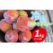 fu.... налог манго Okinawa префектура . рис остров блок . рис остров красный курица ранчо .. рефрижератор Mini манго 1kg(9~12 шар )a- wing Apple манго Mini размер маленький .. лёд...