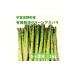 fu.... налог овощи вид спаржа Hokkaido средний . хорошо . блок иметь машина культивирование aspala1kg( размер смешивание )
