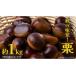 fu.... налог фрукты вид каштан Ibaraki префектура корова . город каштан 1kg 2026 год 9 месяц сверху . отправка начало ( Ibaraki префектура общий возврат . товар : большой . блок ).. marron фрукты конфеты Montblanc каштан .... сырой каштан ....