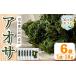 fu.... налог бакалейные продукты водоросли Кагосима префектура . вода город i1022-f День отца подарок голубой sa(18g×6 пакет ) водоросли голубой sa водоросли природа еда сухой ульва «морской салат» клей ульва «морской салат» водоросли сохранение еда ... ....