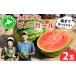 fu.... налог арбуз Hokkaido date город предшествующий предварительный заказ Hokkaido date производство маленький шар арбуз " Pinot * девушка " tom-001
