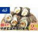 fu.... налог Sazae Ishikawa префектура 7 хвост город утро .... Sazae набор ( большой 2kg) sashimi .. жарение . сезон товар 2026 год 6 месяц сверху .~9 месяц последняя декада примерно . последовательный отправка предположительно 