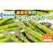 fu.... налог овощи вид спаржа Gifu префектура .. город утро .. свежий спаржа 1.5kg Mini размер | овощи спаржа зеленый aspala... длина весна овощи весна утро...