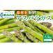 fu.... налог овощи вид спаржа Gifu префектура .. город утро .. свежий спаржа 1.5kg M размер | овощи спаржа зеленый aspala... длина весна овощи весна утро ....