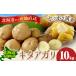 fu.... налог овощи вид картофель Hokkaido книга@ другой блок Hokkaido Tokachi книга@ другой блок производство картофель kita красный li10kg высота .. три {2026 год 10 месяц сверху .-11 месяц сверху . примерно отгрузка } Hokkaido книга@ другой блок...