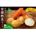 fu.... налог комплект *... Hokkaido город Sapporo предшествующий прием .. овощи комплект l Hokkaido производство картофель ..... шар лук порей морковь ... комплект Hokkaido 