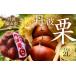 fu.... налог фрукты вид каштан Hyogo префектура Tanba . гора город ( товар оценка . выигрыш ) Tanba каштан 2L 1kg низкотемпературный дозревание безопасность безопасность рецепт имеется kli.. каштан рис каштан .... Hyogo префектура Tanba . гора город 