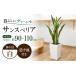 �ӂ邳�Ɣ[�� �ԁE�c�� ���茧 �呺�s �T���X�x���A ���[�����e�B �X�N�G�A���픫7��?�ϗt�A�� �呺�s �Չԉ��^�ϗt�A�� ���� �ϗt�A�� �T���X�x���A 7�� ACYK�c