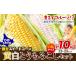 fu.... налог кукуруза Hokkaido название . город высшее . Gold Rush желтый белый кукуруза комплект 10kg 23-25шт.@ еда . сравнение Hokkaido название . город производство утро .. прямая поставка от производителя сырой . еда...