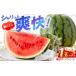 fu.... налог арбуз Nagasaki префектура запад море город .. The * Suite 1 шар (L~2L) примерно 7kg AgriBase....CGV005