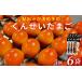 fu.... налог яйцо готовый продукт Gifu префектура 7 . блок форель. суп .. решение . рука kun .. Tama .5 штук входит 6 пакет копчение kun Tama яйцо Tama . шар . затонированный тест имеется закуска гарнир Sara...