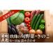 �ӂ邳�Ɣ[�� �Z�b�g�E�l���� �啪�� ��쒬  �ӂ邳�Ɣ[�� 6�����ց@���� �{��� �E ���̂� 6-10�i �l�ߍ��킹 �b �啪����쒬 ��� ���̂� �{ ����� �c