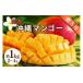 fu.... налог манго Okinawa префектура ... город Okinawa префектура производство .. для манго 1kg предшествующий предварительный заказ 2027 год отправка манго . толщина ..ju-si- Nankoku фрукты фрукты прямая поставка от производителя pre...