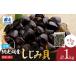 fu.... налог рыба моллюски ... Hokkaido сеть пробег город сеть пробег озеро производство рефрижератор ....1kg×1 пакет песок .. завершено ..... налог популярный рекомендация классификация корбикула свежий морепродукты море. . рыба...