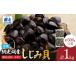 fu.... налог рыба моллюски ... Hokkaido сеть пробег город сеть пробег озеро производство рефрижератор .... небольшое количество . завершено 500g×2 пакет песок .. завершено ..... налог популярный рекомендация классификация корбикула свежий море...