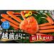 fu.... налог краб ...gani Fukui префектура Echizen город Echizen ..( мужской )[.....](1kg и больше ) 1 кубок стандартный товар (1kg и больше )×1 кубок 