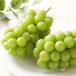  автомобиль in мускат .. Okayama префектура производство большой . примерно 1.4kg (700g×2.) высококлассный виноград .. для для бытового использования фрукты .. было использовано фрукты 