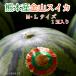  золотой гора арбуз (М*L размер )1 шар ввод запад река san. золотой гора арбуз Kumamoto префектура производство арбуз 
