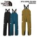 THE NORTH FACE North Face одежда RTG GORE-TEX BIB NS62302 24-25 модель брюки 