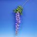 [ summer. equipment ornament ] wistaria [ receipt issue ]