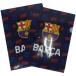 [ кошка pohs выбор возможно ] Barcelona официальный FCB прозрачный файл 2 шт. комплект BCN35069 футбол товары поддержки канцелярские товары A4 темно-синий 