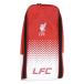 liba бассейн официальный обувь сумка 35×18×12cm футбол Premiere League официальный сумка для обуви товары поддержки 