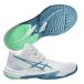  Asics asics волейбол обувь мужской SKY ELITE FF MT 3 1051A081-106