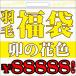 2018 福袋 羽毛布団 卯の花色の福袋 シングル88888万円コース 羽毛/新春/お正月/お得/西川/シングル