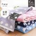 �t�F�C�X�^�I�� 34�~80cm �h�b�g�� ��100�� �R�� �h�L �^�I�� fufu �A�N�A�{�[��