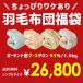羽毛布団 福袋 シングル ポーランド産グースダウン93% 1.0kg 日本製 羽毛掛け布団 色柄おまかせ ロイヤルゴールド