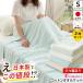  есть перевод махровое покрывало одиночный 2 шт. комплект сделано в Японии хлопок 100% пирог ru земля летний покрывало роман маленький криптомерия цвет случайный 