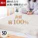 ���� �� �~���p�b�h �Z�~�_�u�� ��100�� �Ȃ킽���� ���� �~���p�b�h �E�H�b�V���u�� �p�b�g�V�[�c