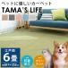  carpet ..6 tatami 261×352cm made in Japan pet correspondence measures ..... anti-bacterial free cut tamaz life small size dog cat 