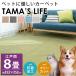  carpet ..8 tatami 352×352cm made in Japan pet correspondence measures ..... anti-bacterial free cut tamaz life small size dog cat 