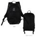 LUZeSOMBRA/ разрозненный isombla рюкзак рюкзак LS BACK PACK