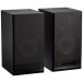 ONKYO WAVIO Powered акустическая система 15W+15W GX-100HD(B)