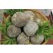 JA�O�g������� �O�g�R �R�̈� ��1.5kg �D�i �w����s�� �������� ��܂̂��� ���}�m�C�� �Ƃ�� ��� �C�� �S�� �O�g �R �R�� �H���@�� �֘A�摜3