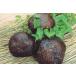 JA�O�g������� �O�g�R �R�̈� ��1.5kg �D�i �w����s�� �������� ��܂̂��� ���}�m�C�� �Ƃ�� ��� �C�� �S�� �O�g �R �R�� �H���@�� �֘A�摜4