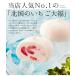 �k�َ̉q �ٕ� �k���̂������啟 10�� �������� ���N���[�� ������ � �C�`�S ���َq �Ⓚ 䕑啟 �X�C�[�c ����� �a�َq �啟�� �M�t�g ���蕨 ���[�J�[���� �֘A�摜2