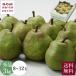  Yamagata префектура производство la Франция 3kg превосходящий товар 8~12 шар 11 месяц средний .~12 месяц последняя декада отгрузка указанный день не возможно Kyushu * Okinawa доставка отдельно груша обыкновенная JA....f-z нет нет груша фрукты подарок прямая поставка от производителя 