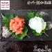  saec магазин весь *... слива .. белый комплект примерно 1000g Hokkaido * Okinawa доставка отдельно 1kg кит кит .nitali. Nagasaki Kyushu рефрижератор подарок .. прямая поставка весь ... слива . наличие 